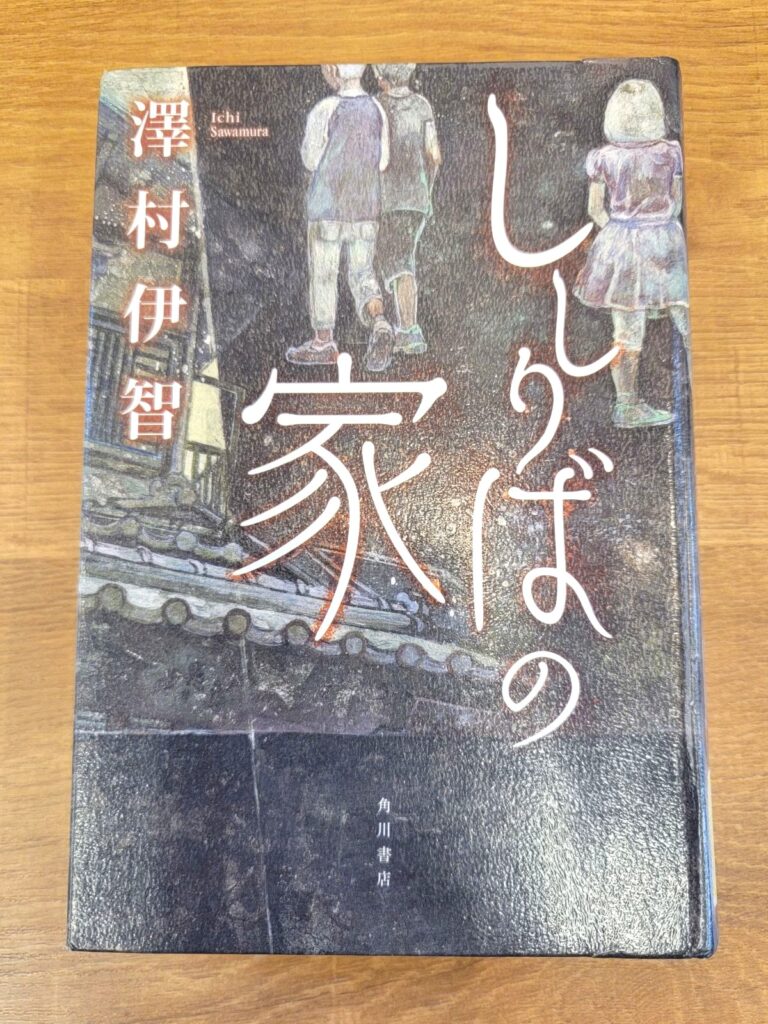 「ししりばの家」読書感想 ～僕はおかしいあの家に入ざざざあああああああてからずっとおかしい～